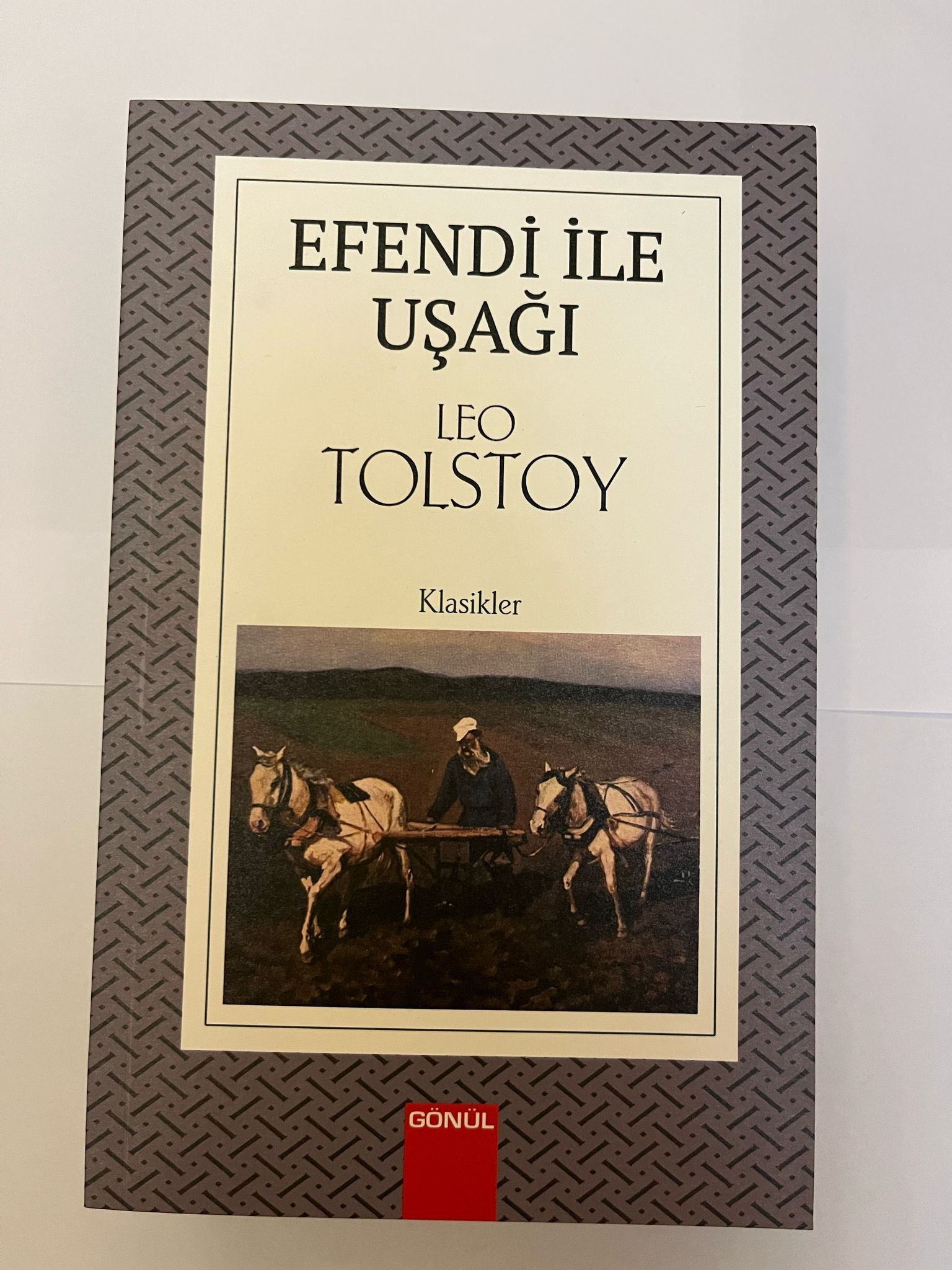 Efendi İle Uşagı - Leo Tolstoy